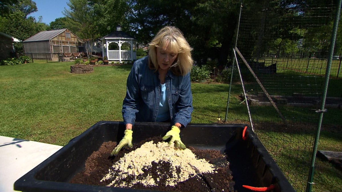 Soil Mix Recipe + Raised Bed Gardening Best Practices on NPT's Volunteer Gardener