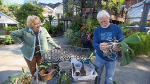 Growing Health Orchids on NPT's Volunteer Gardener