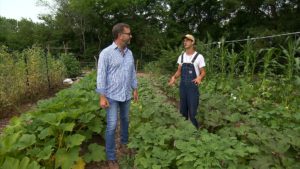 Freia Farm: Small Intensive Agriculture Farm on NPT's Volunteer Gardener