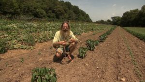 Organic Farming: Good Start = Good Result on NPT's Volunteer Gardener