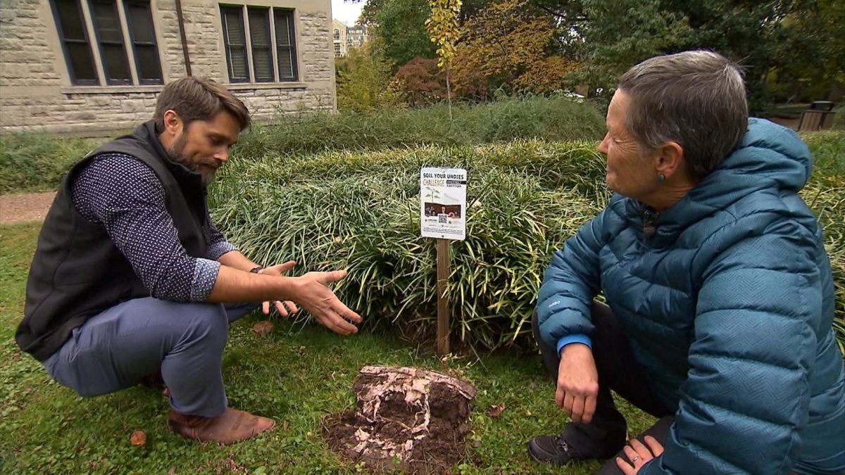 Soil Your Undies: How healthy is your soil? on NPT's Volunteer Gardener