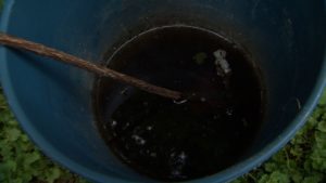 Mosquito bucket of doom on NPT's Volunteer Gardener