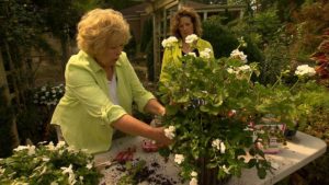 Freshening garden containers mid-summer on NPT's Volunteer Gardener