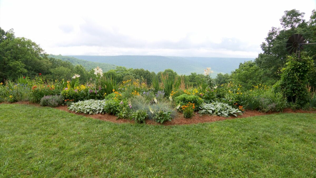 Garden in the Sky on NPT's Volunteer Gardener