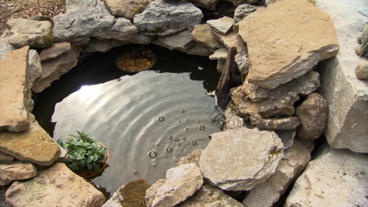 DIY Water Features on NPT's Volunteer Gardener