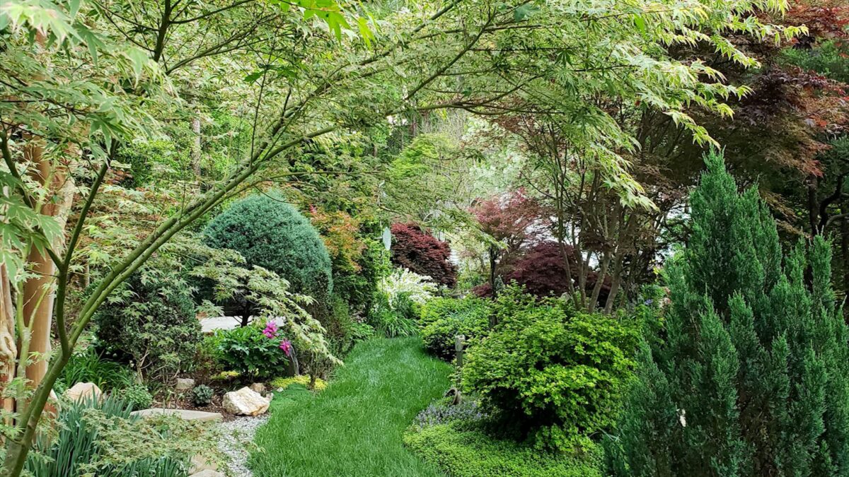 A garden designed with an artist's eye on NPT's Volunteer Gardener