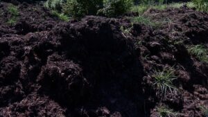 Enriching the Compost Pile with Herbs and Weeds on NPT's Volunteer Gardener