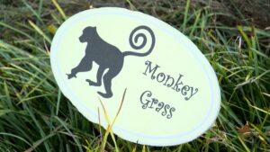 Zoo Garden on NPT's Volunteer Gardener