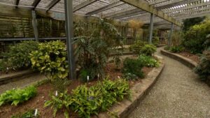 Lath House on NPT's Volunteer Gardener