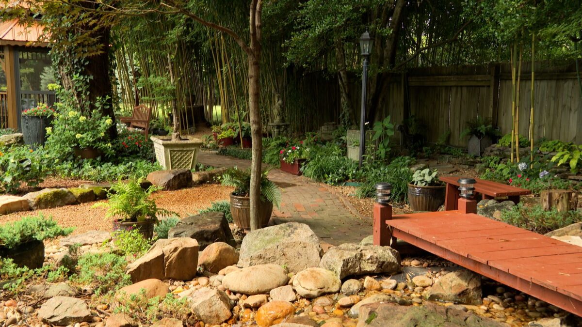 Episode 3322 on NPT's Volunteer Gardener