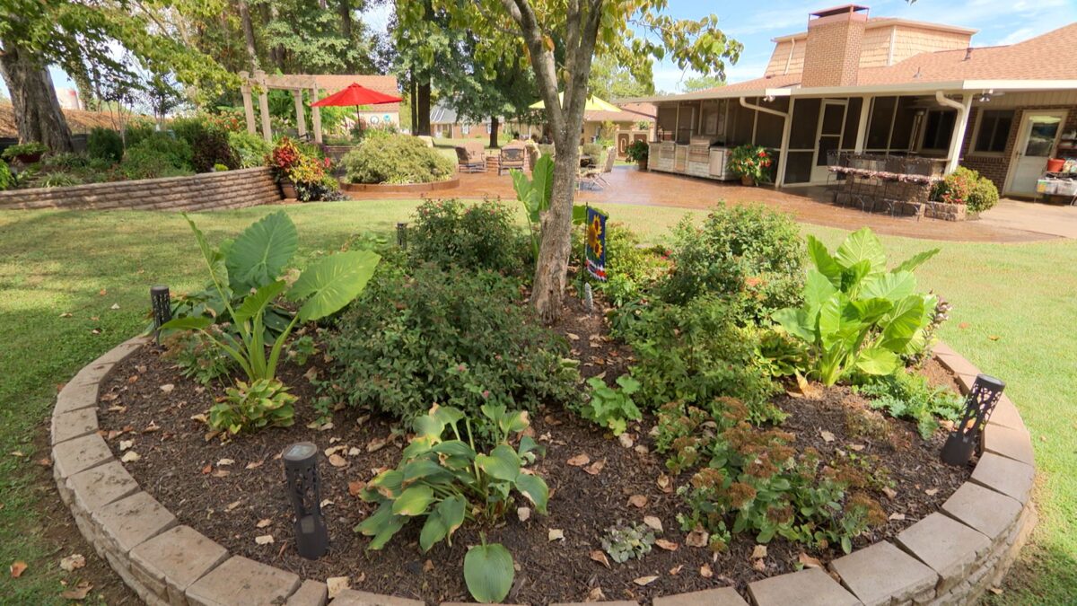 Episode 3321 on NPT's Volunteer Gardener