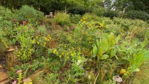 Episode 3403 on NPT's Volunteer Gardener