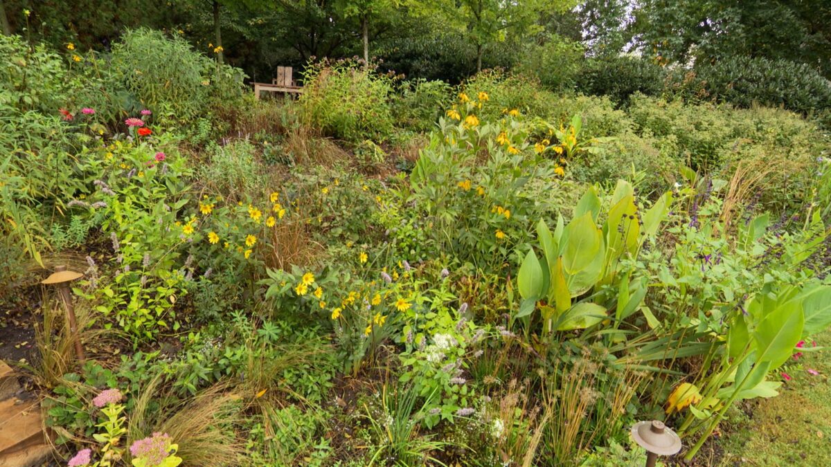 Landscape Design - A Dynamic Art Form on NPT's Volunteer Gardener