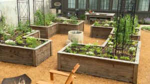 Episode 3407 on NPT's Volunteer Gardener