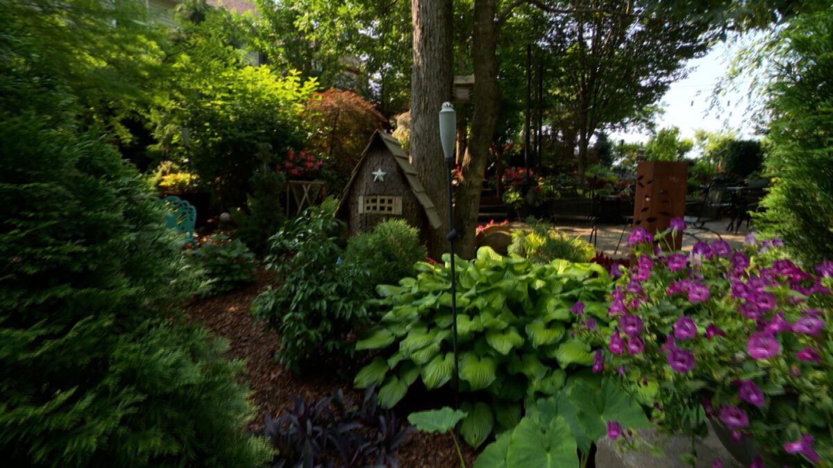 Episode 3413 on NPT's Volunteer Gardener