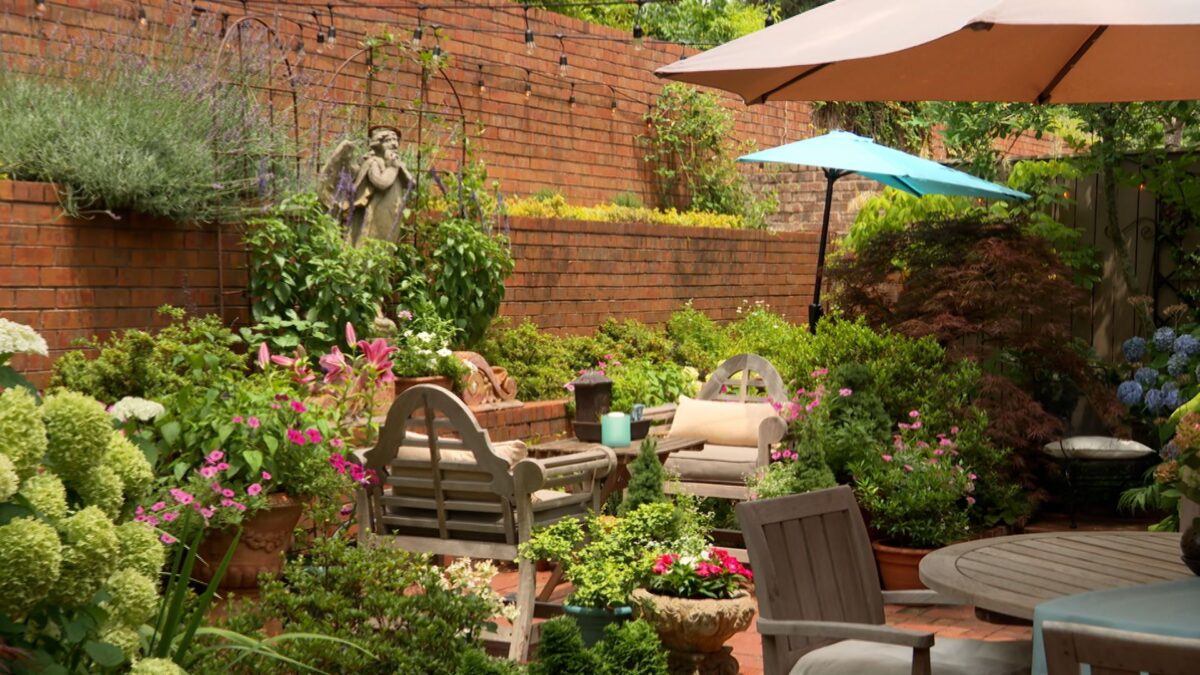 Episode 3416 on NPT's Volunteer Gardener