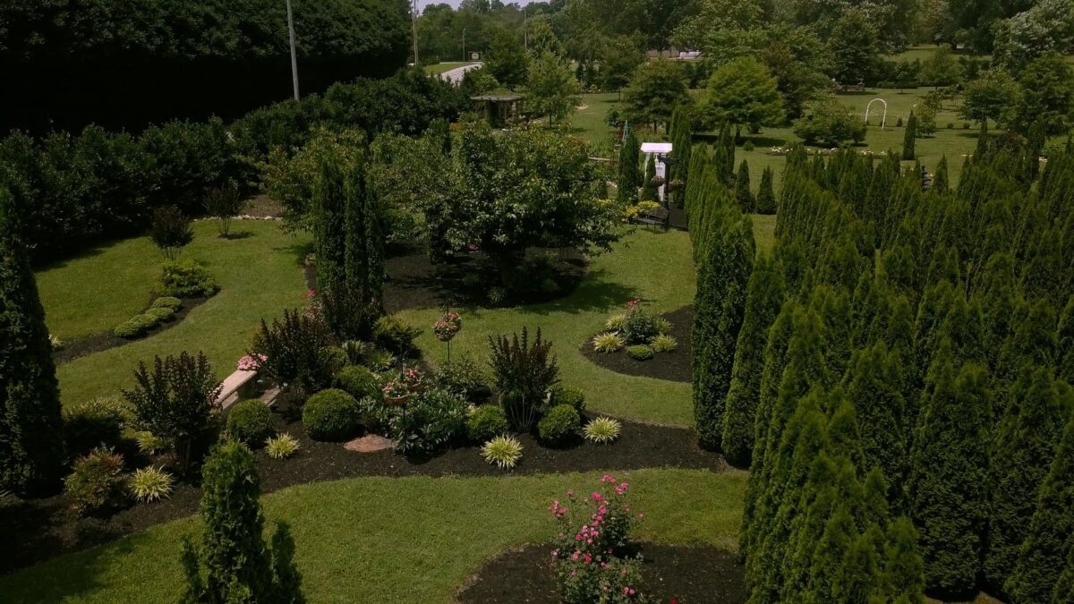 Episode 3421 on NPT's Volunteer Gardener