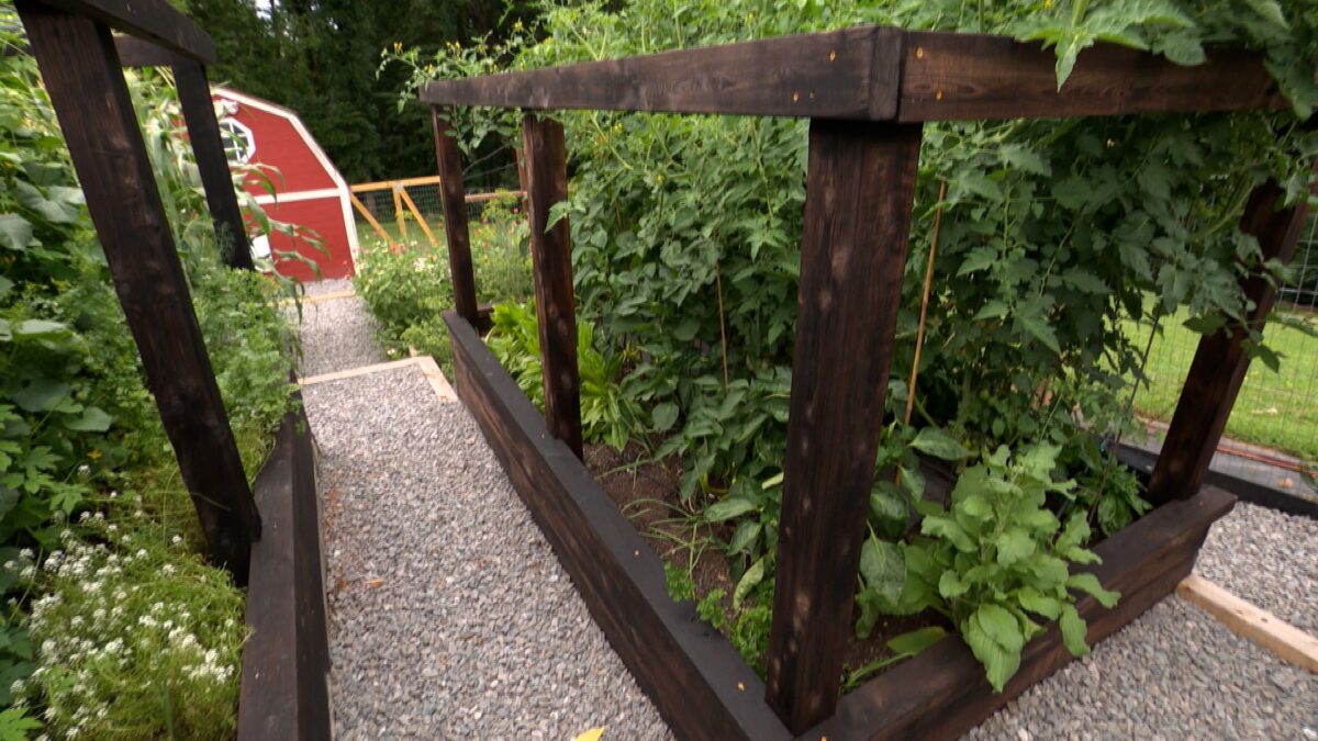 Episode 3422 on NPT's Volunteer Gardener