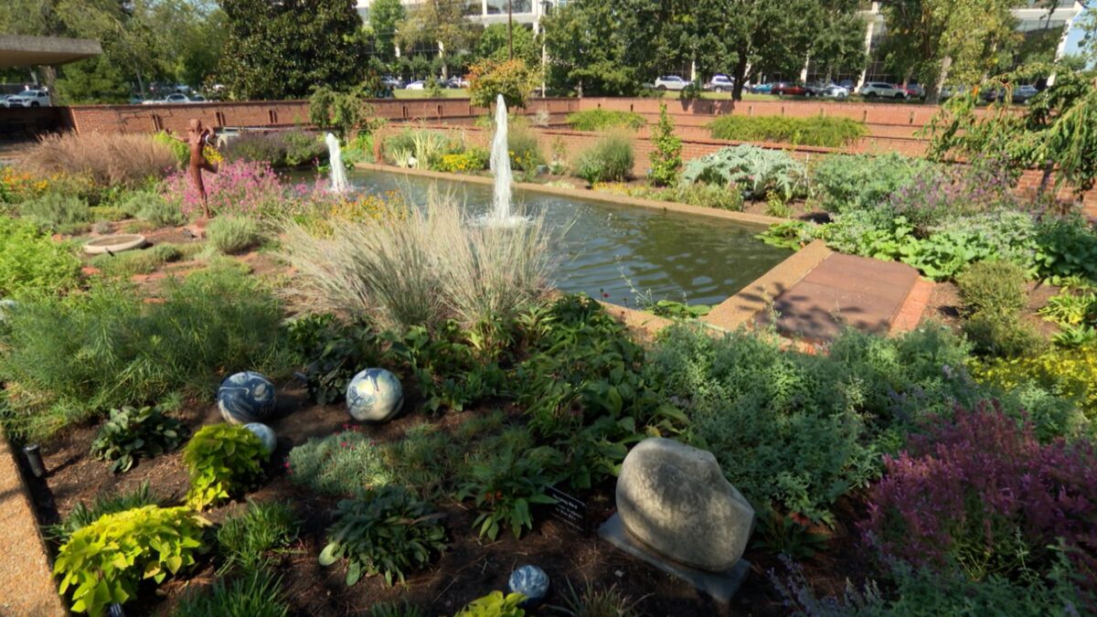 Episode 3503 on NPT's Volunteer Gardener