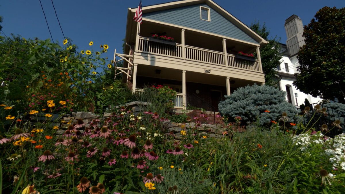 Continuous Color in the Garden on NPT's Volunteer Gardener