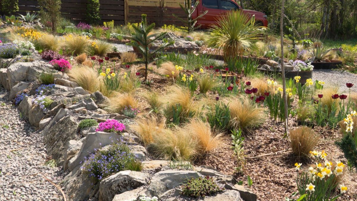 Rock Crevice Gardens on NPT's Volunteer Gardener