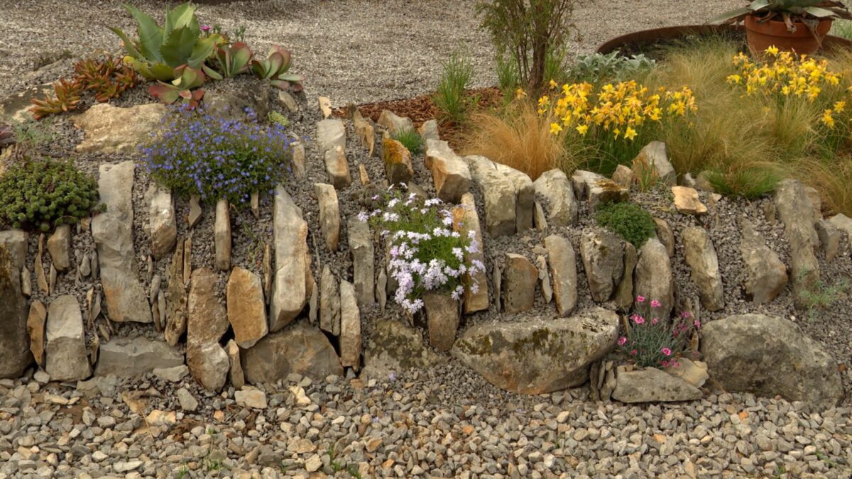 Episode 3507 on NPT's Volunteer Gardener