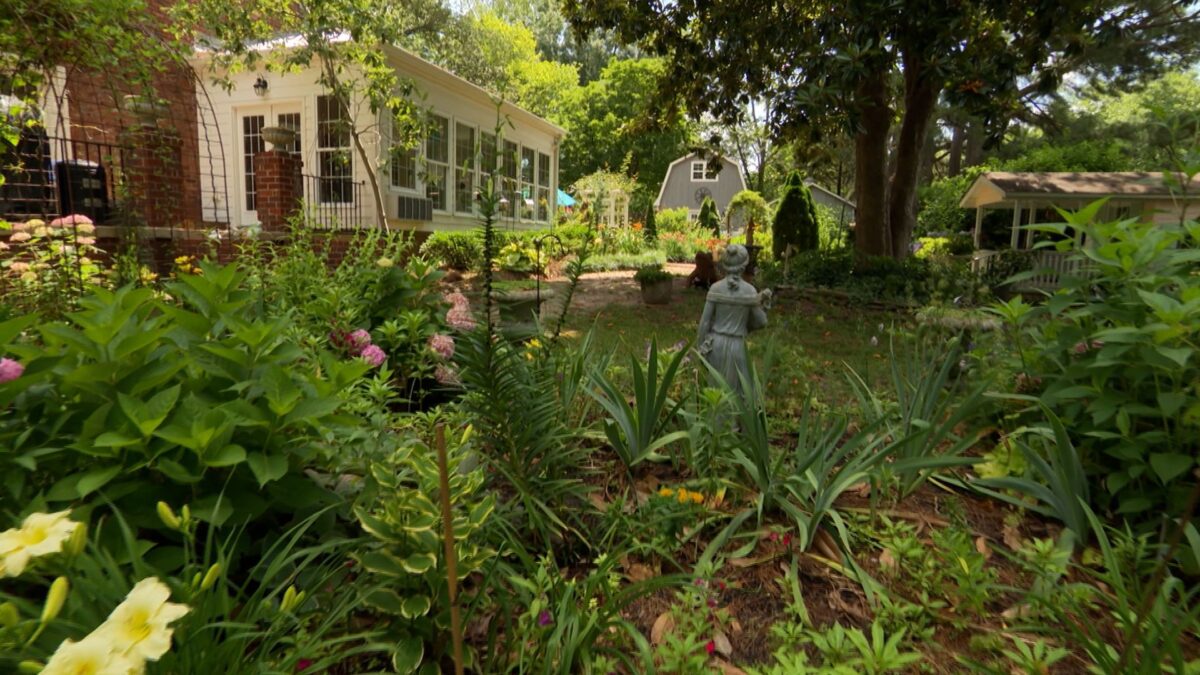 Charming Cottage Garden: An Array of Pretty Plants on NPT's Volunteer Gardener
