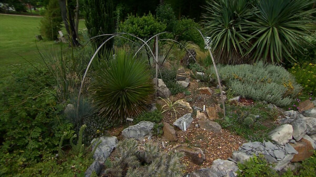 Episode 3511 on NPT's Volunteer Gardener